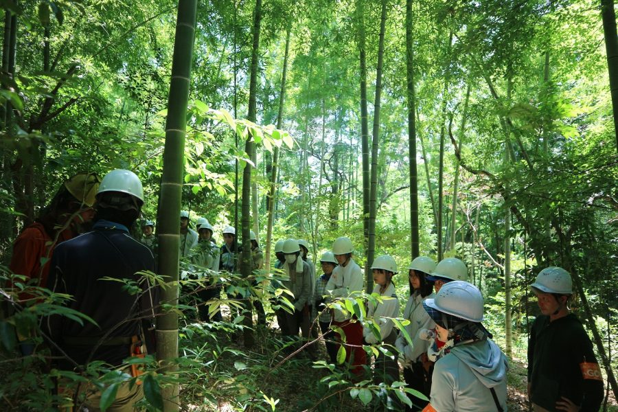 里山へGO!の活動の様子