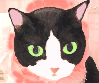 猫の譲渡会の様子