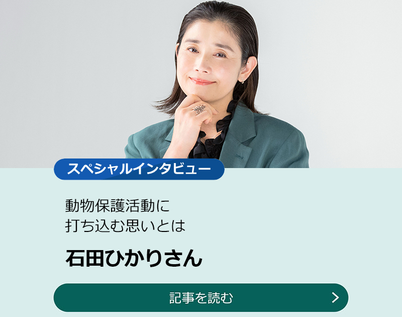 【石田ひかりさん】動物保護活動に打ち込む思いとはのスライダー画像　記事を読む