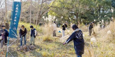 地域の自然を守り、ささえるボランティア【生態工房の活動】の画像