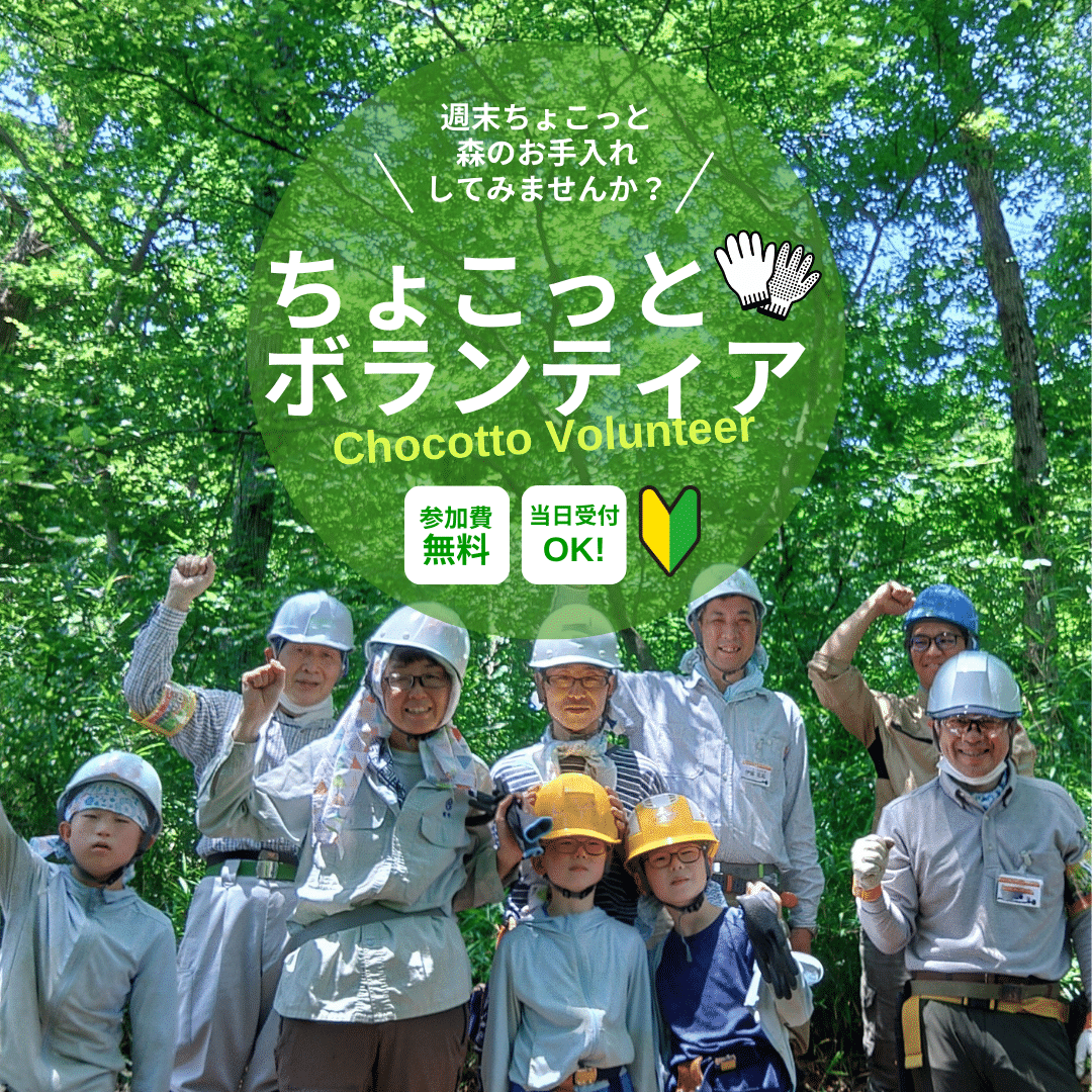 アルバムスライド画像1 画像が拡大されます