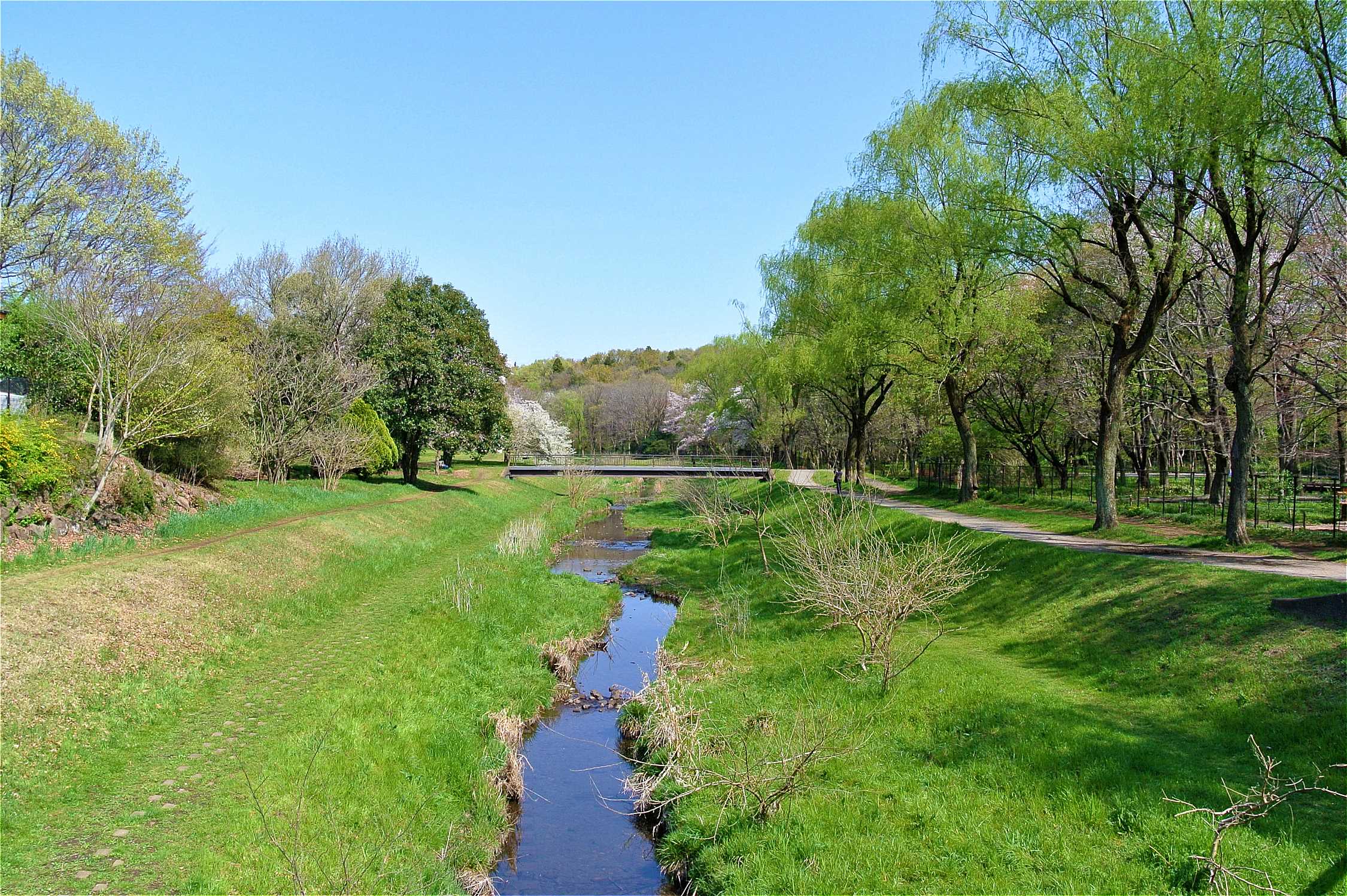 武蔵野の公園パートナーズのロゴ
