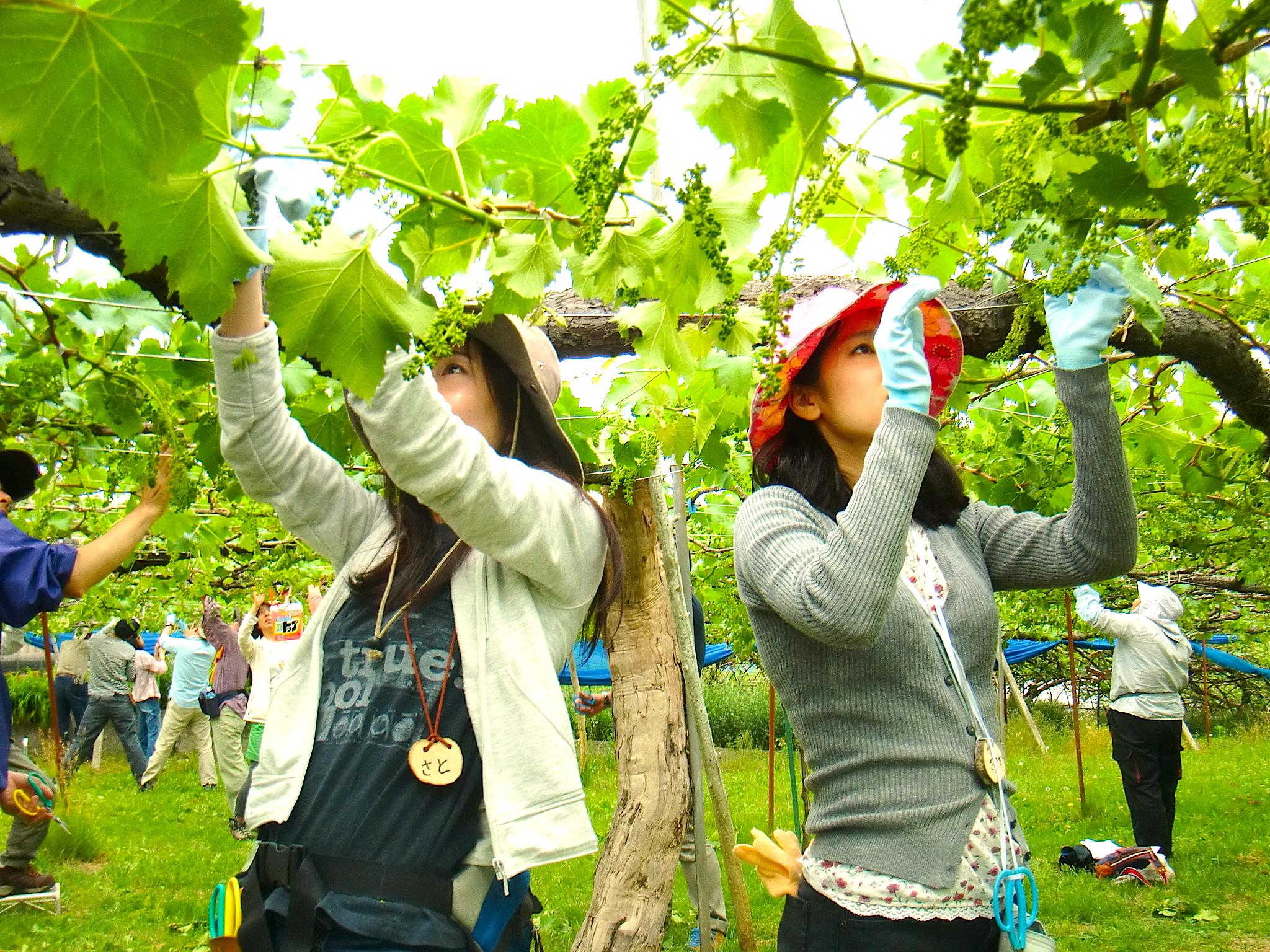 団体活動画像２