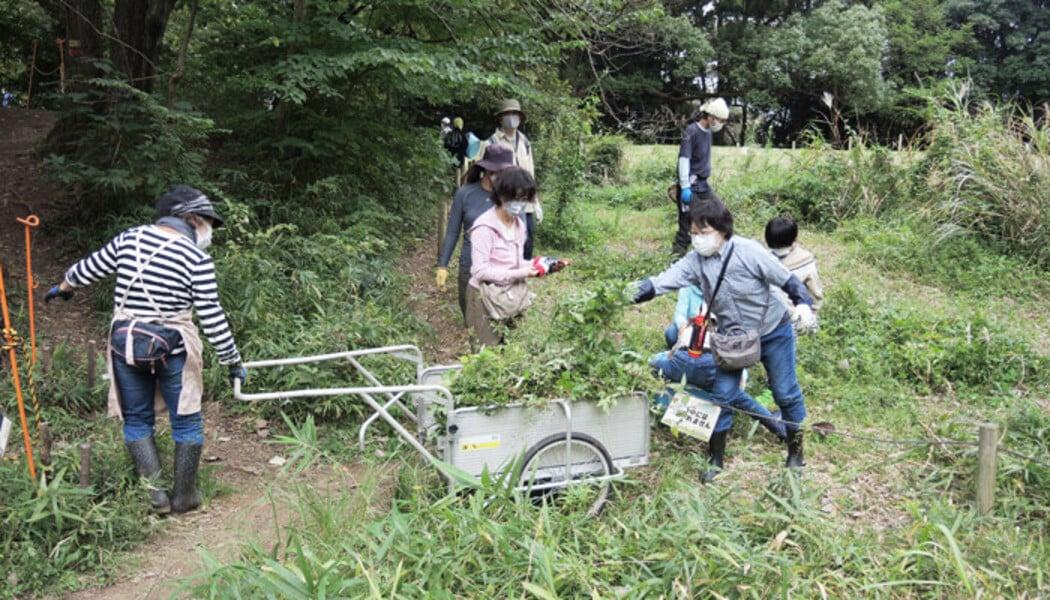 アルバムスライド画像1 画像が拡大されます