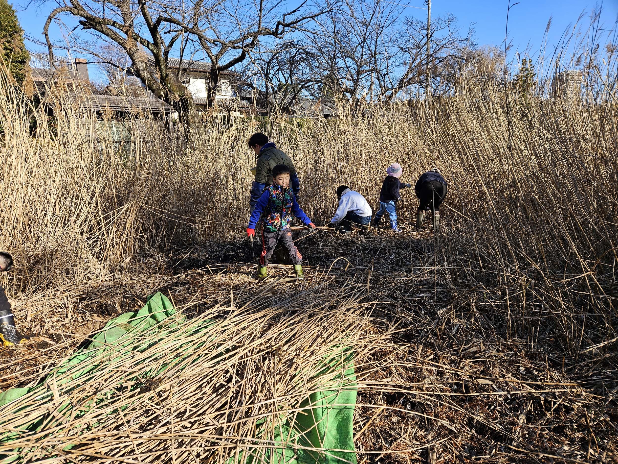 アルバムスライド画像1 画像が拡大されます