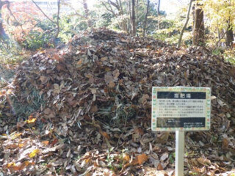 アルバムスライド画像2 画像が拡大されます