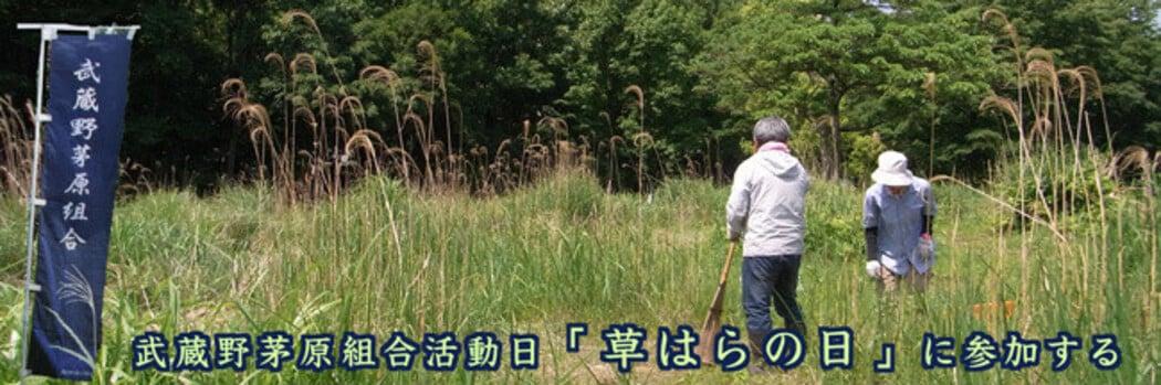 アルバムスライド画像3 画像が拡大されます