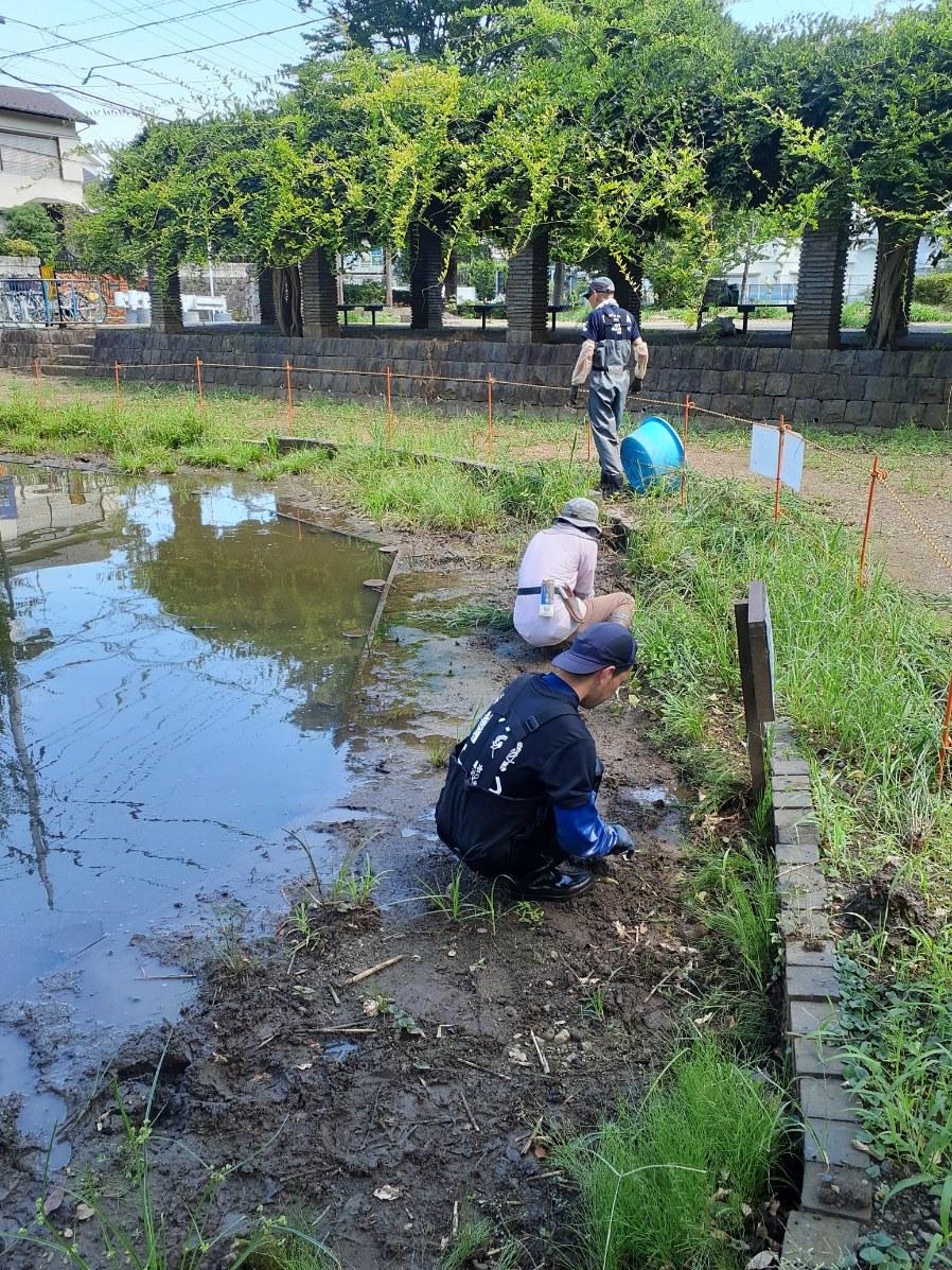 アルバムスライド画像3 画像が拡大されます