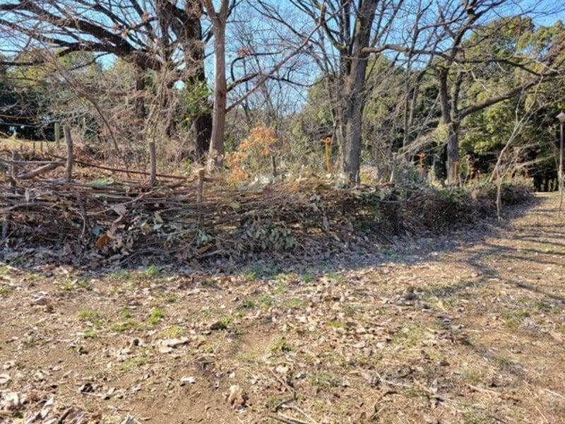 アルバムスライド画像5 画像が拡大されます