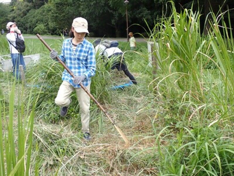 アルバムスライド画像6 画像が拡大されます