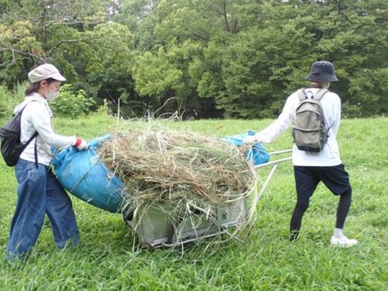 アルバムスライド画像7 画像が拡大されます