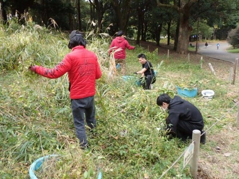 アルバムスライド画像8 画像が拡大されます