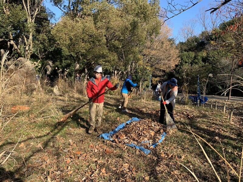 アルバムスライド画像9 画像が拡大されます