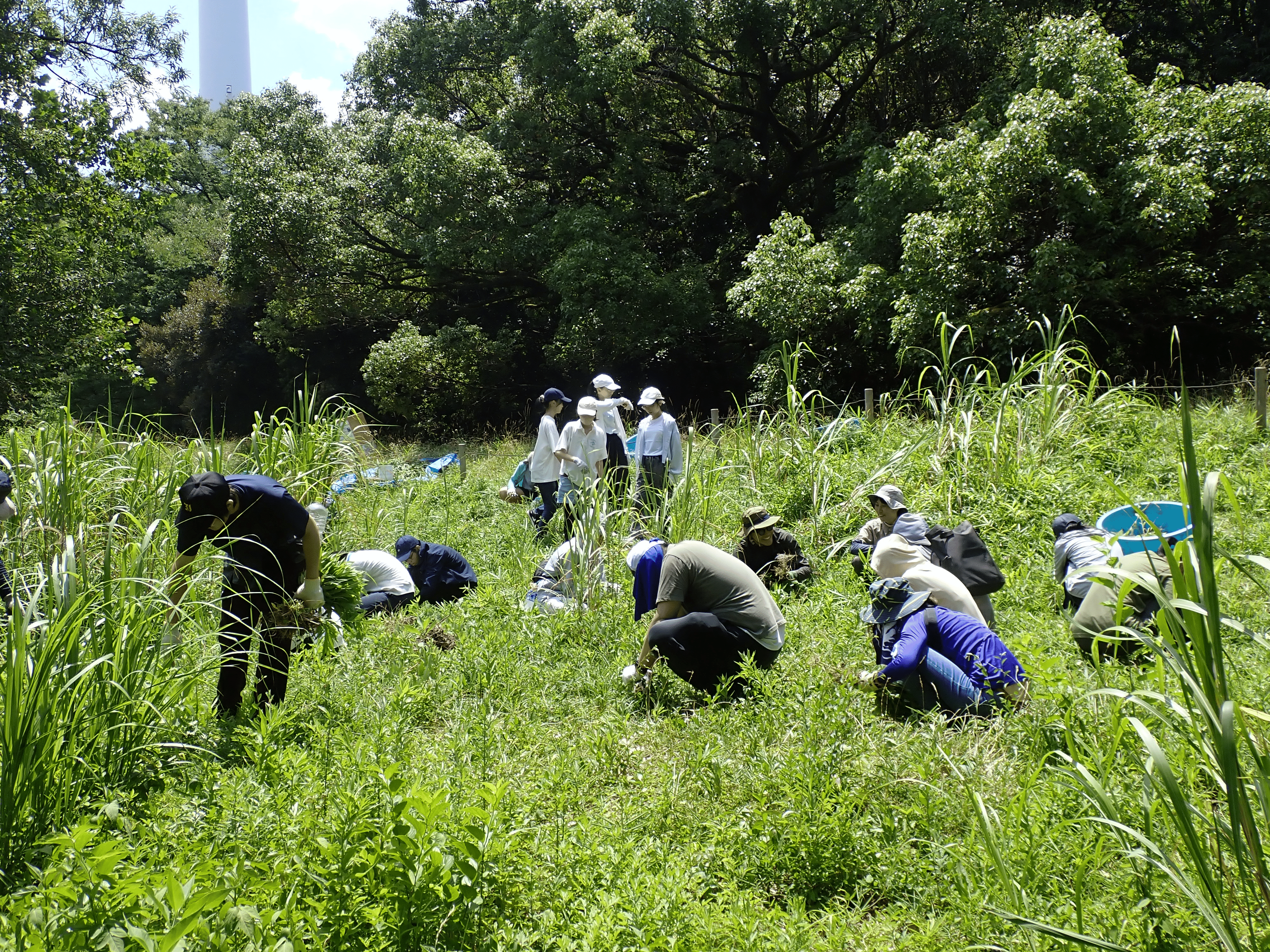 団体活動画像１