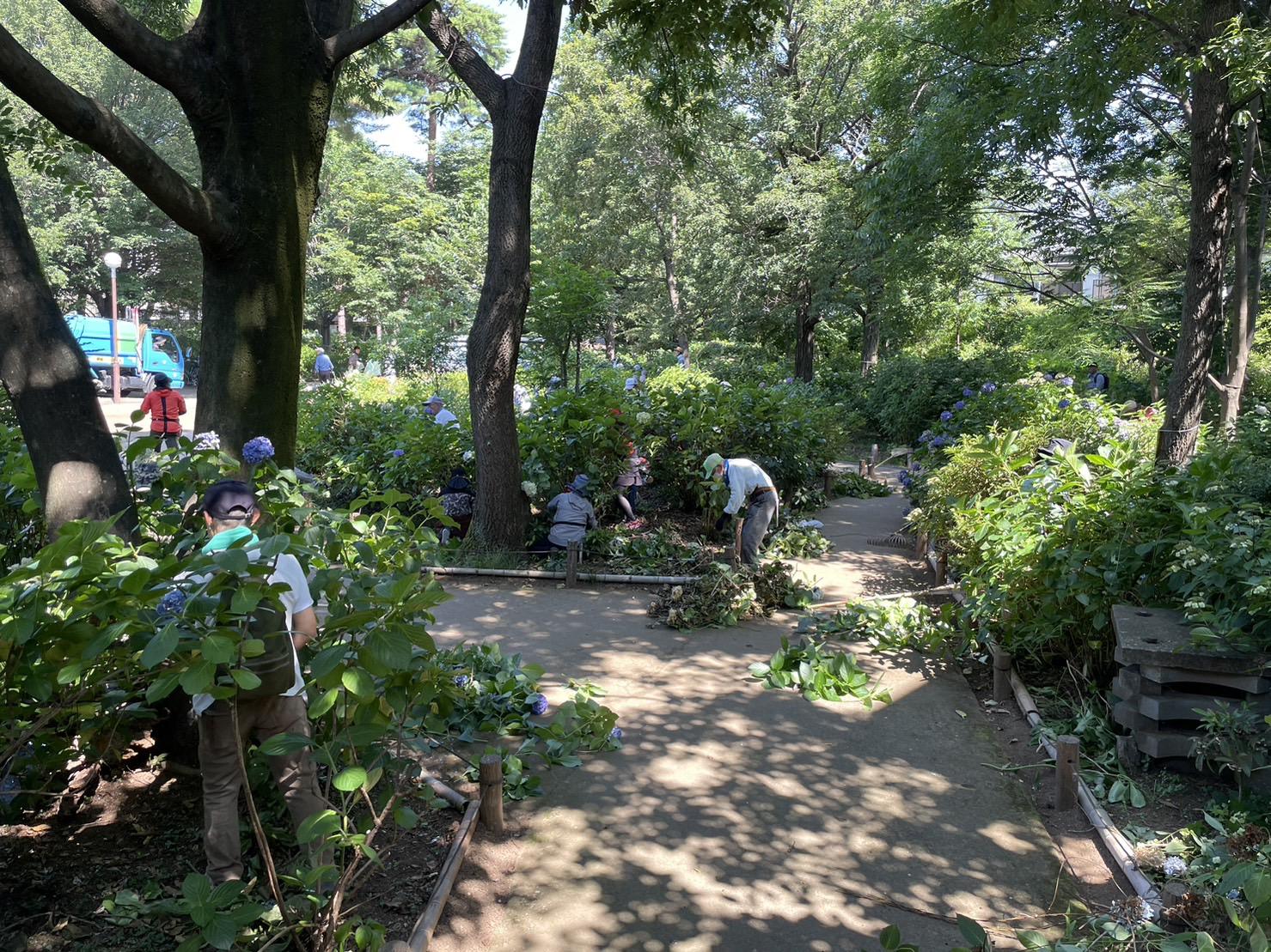 団体活動画像２