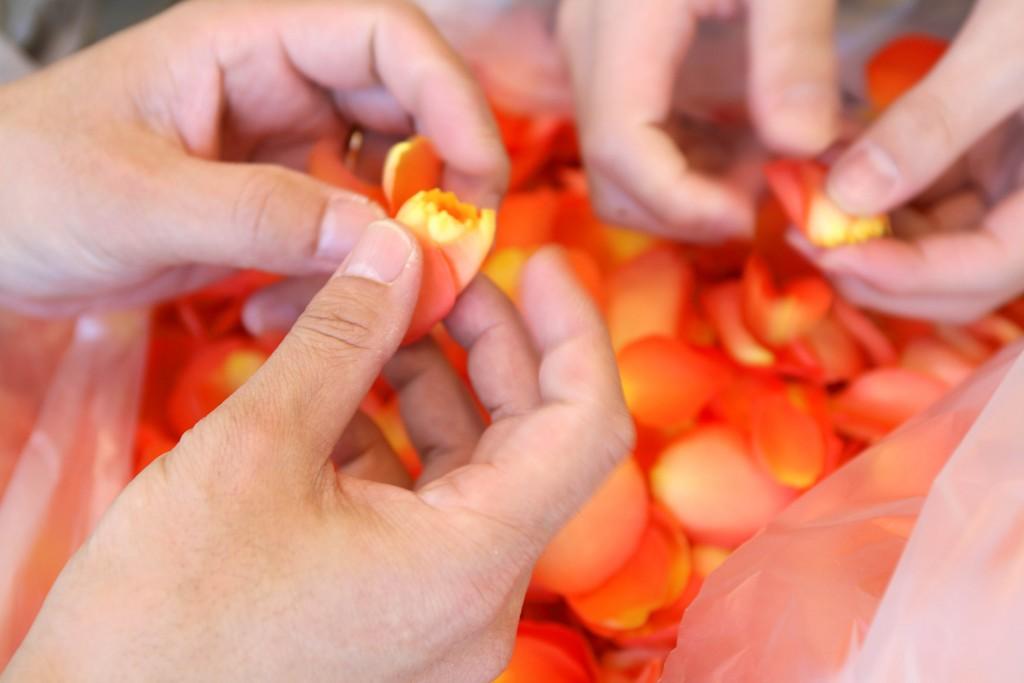 団体活動画像１